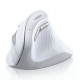Мышь | UGREEN MU008 Ergonomic | цвет: белый | 2.4 ГГц + Bluetooth | вертикальная, бесшумная